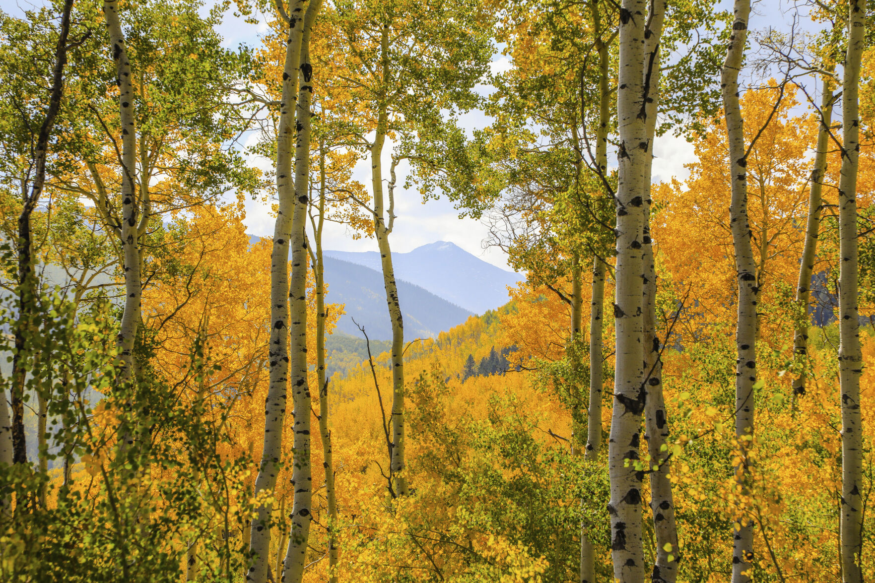 Colorado